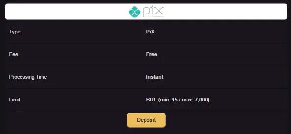 deposit methods at Playbet Casino, including bank transfers and vouchers